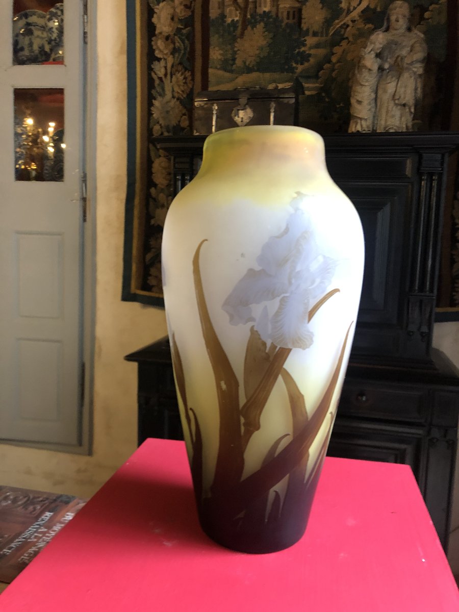 Gallé Vase-photo-1