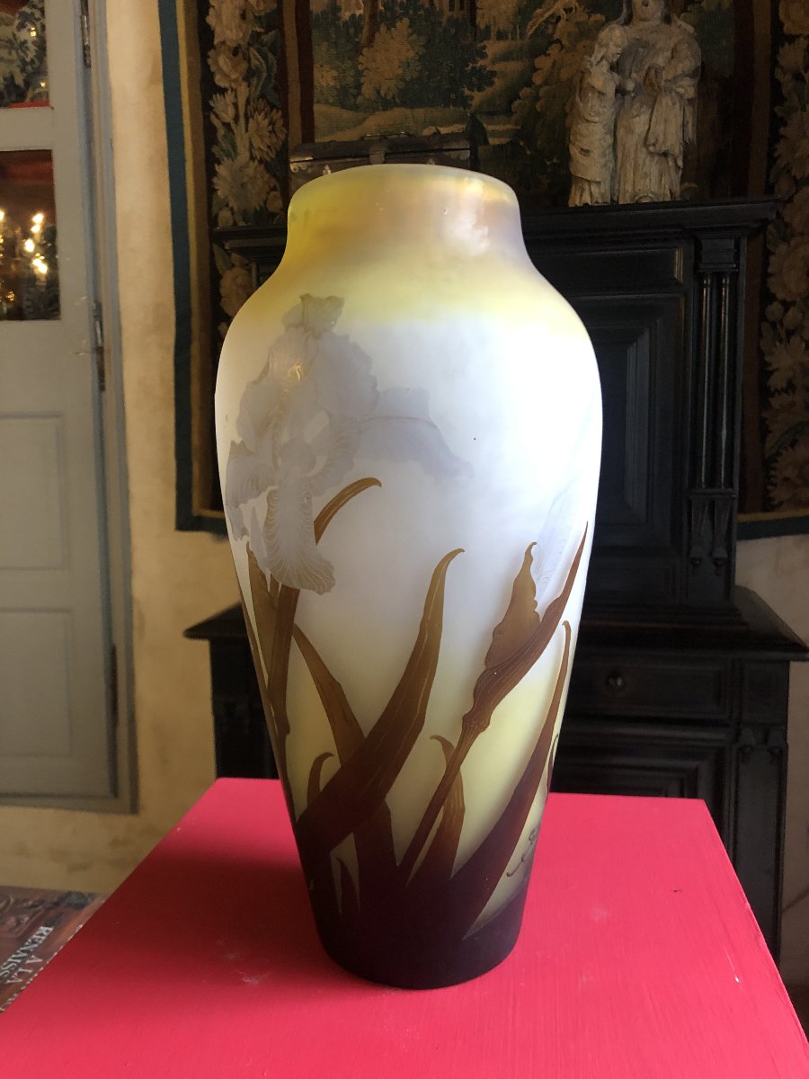 Gallé Vase-photo-2