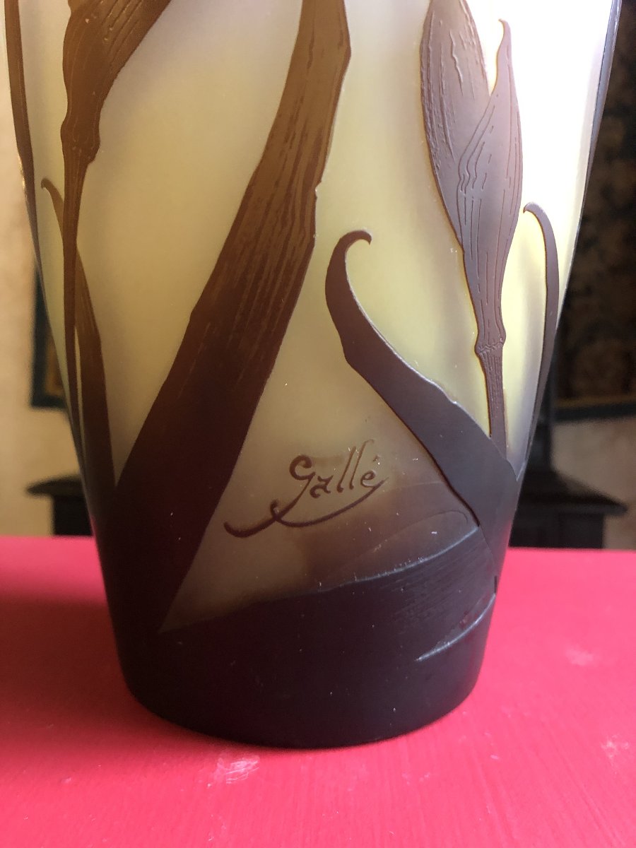 Gallé Vase-photo-3