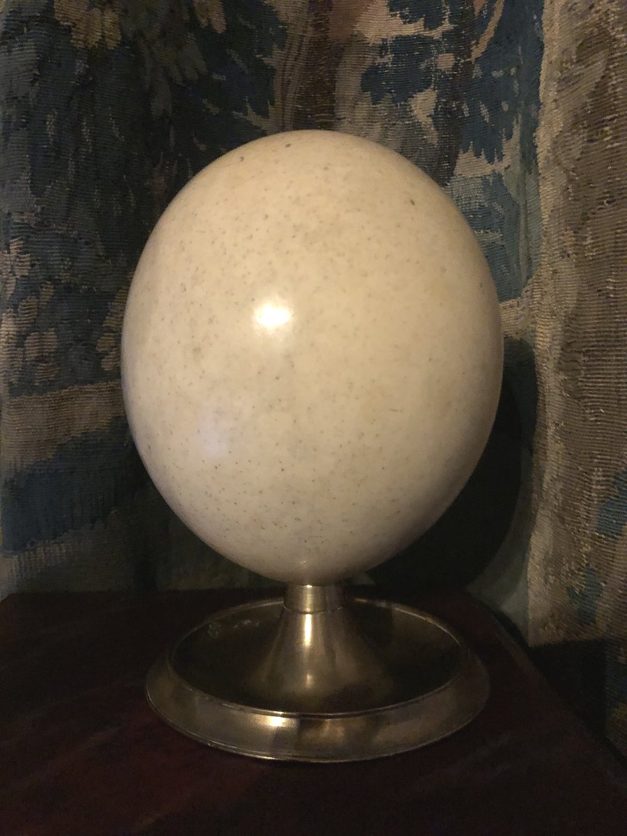 Ostrich Egg.-photo-3