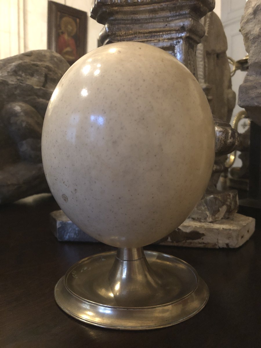 Ostrich Egg.