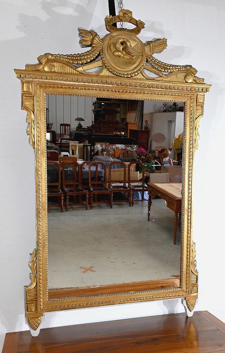 Mirror In Golden Wood, Louis XVI Style - Late Nineteenth