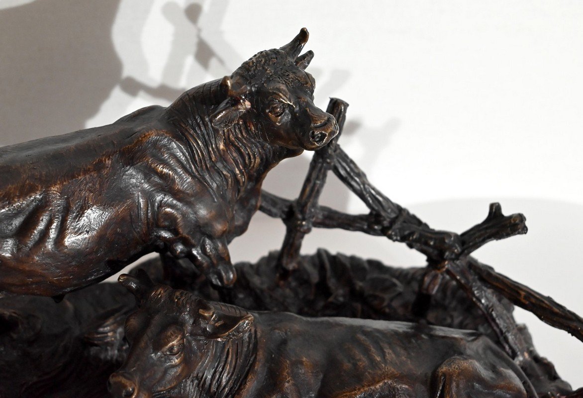 Bronze -photo-2