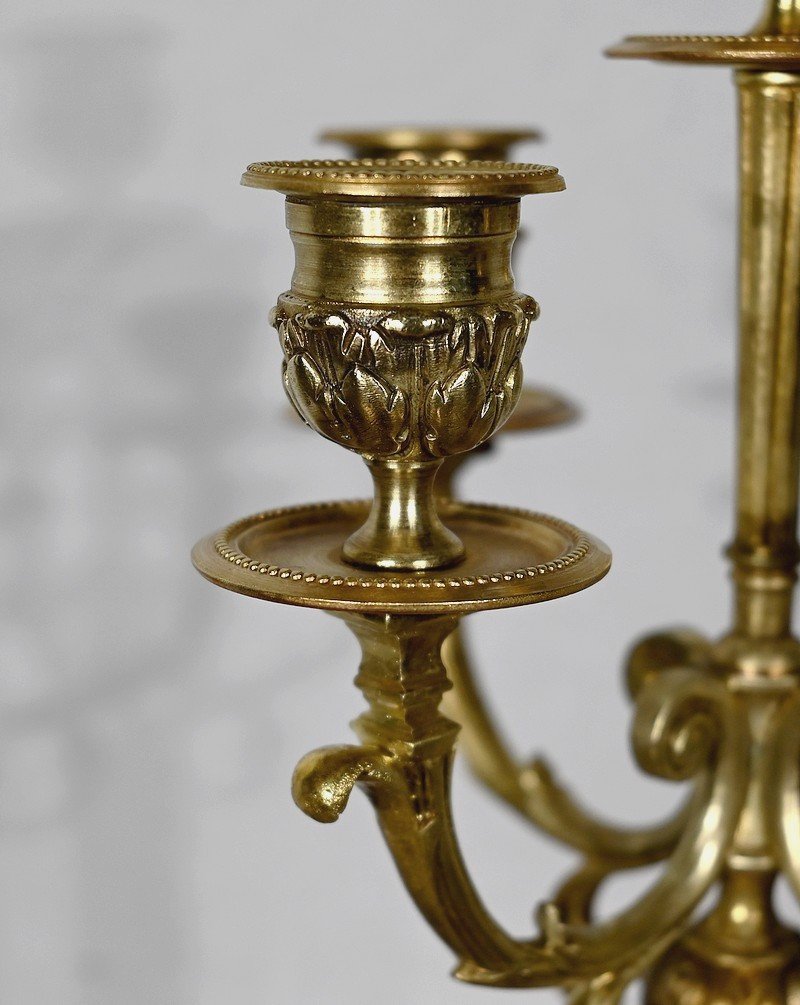 Pair Of Candlesticks In Gilt Bronze, Louis XVI Style - 2nd Half Nineteenth-photo-4
