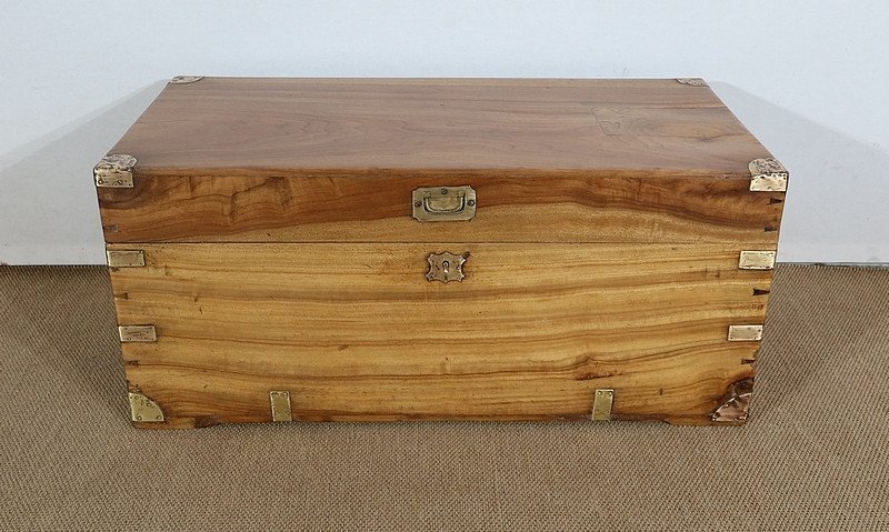 Camphor Marine Chest - Late Nineteenth-photo-3