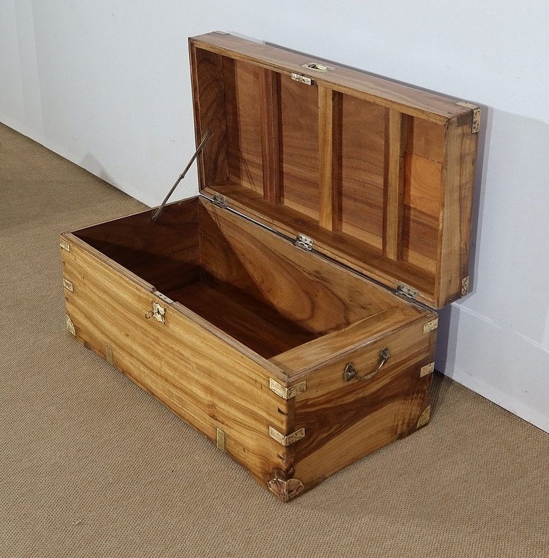 Camphor Marine Chest - Late Nineteenth-photo-4