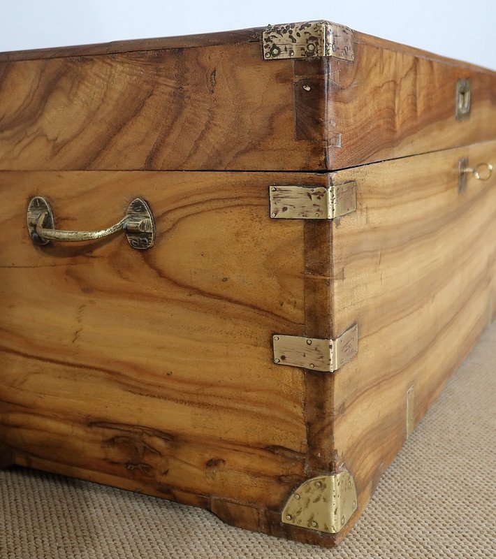 Camphor Marine Chest - Late Nineteenth-photo-6