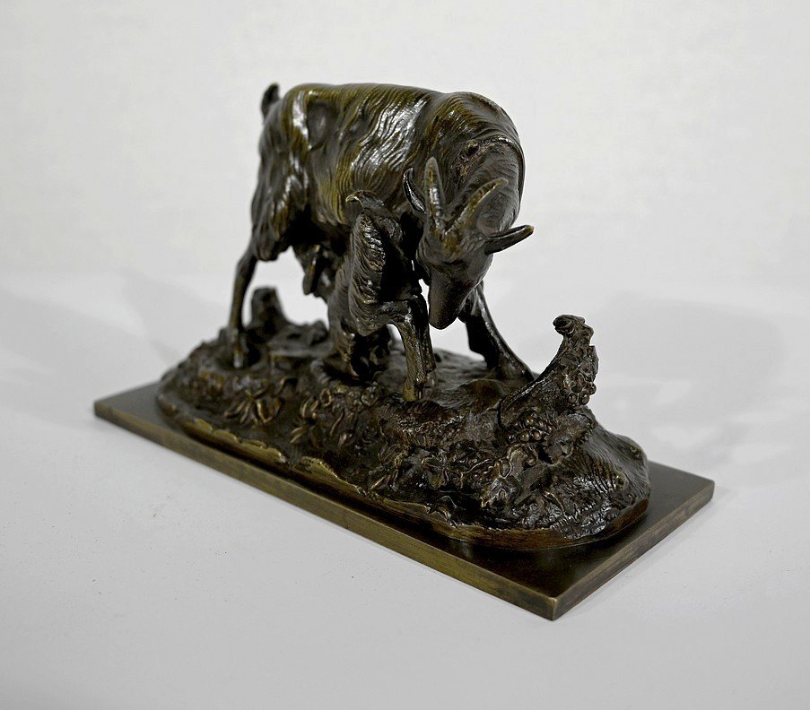 Bronze « la Chèvre Et Son Chevreau » – Fin XIXe-photo-2