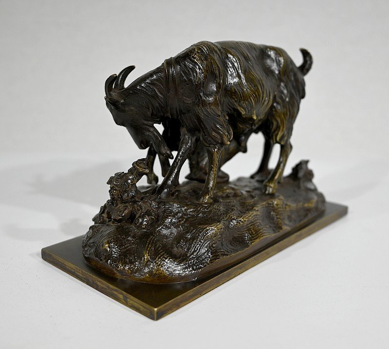 Bronze « la Chèvre Et Son Chevreau » – Fin XIXe-photo-3