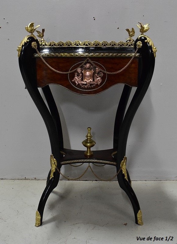 Planter In Cedar Bramble Veneer And Blackened Wood, Napoleon III Period - Nineteenth-photo-4