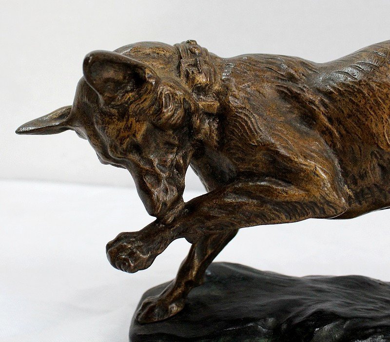 Bronze “german Shepherd Dog” By Tf. Cartier – Early 20th Century-photo-3