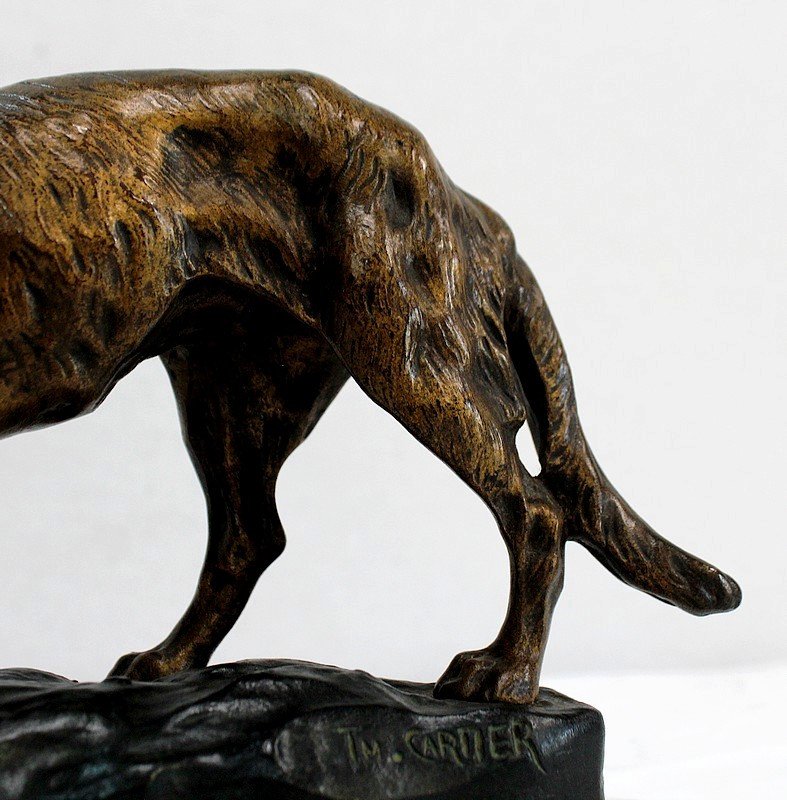 Bronze “german Shepherd Dog” By Tf. Cartier – Early 20th Century-photo-4
