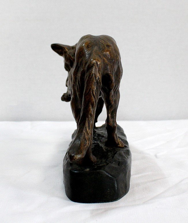 Bronze “german Shepherd Dog” By Tf. Cartier – Early 20th Century-photo-3