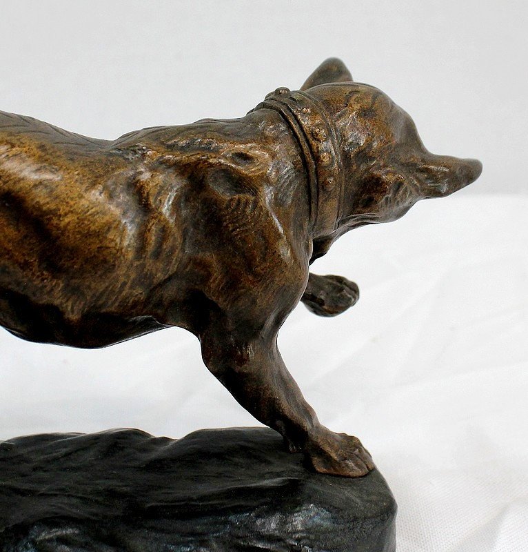 Bronze “german Shepherd Dog” By Tf. Cartier – Early 20th Century-photo-5