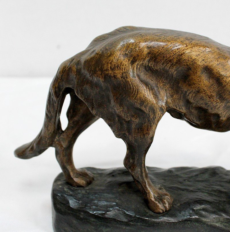 Bronze “german Shepherd Dog” By Tf. Cartier – Early 20th Century-photo-6