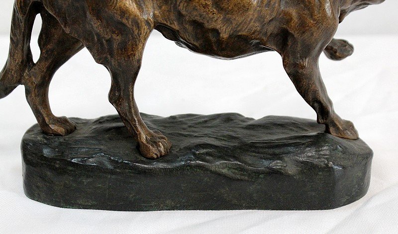 Bronze “german Shepherd Dog” By Tf. Cartier – Early 20th Century-photo-7