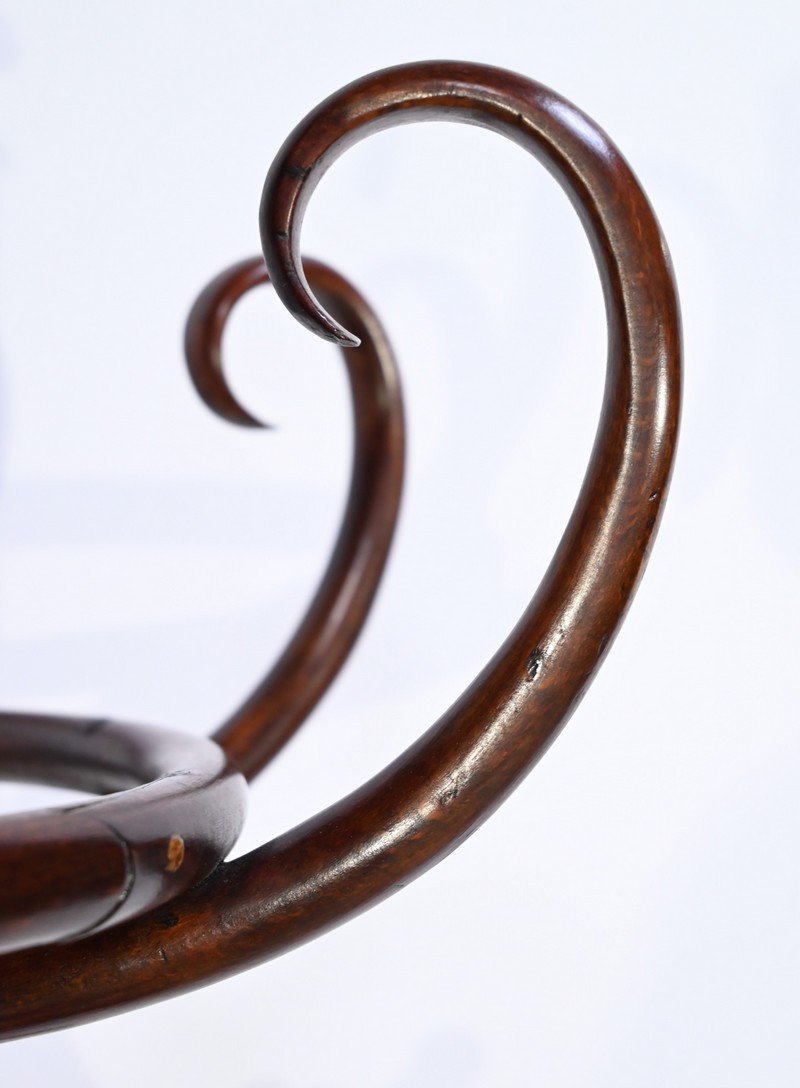 Thonet Parrot, Model No. 10.401, In Beech – 1st Part 20th-photo-1