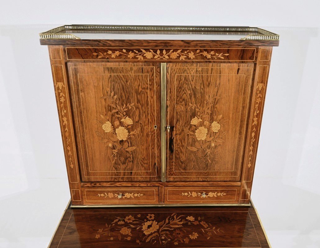 Small Rosewood Writing Cabinet, Charles X Style – Mid-19th Century-photo-4