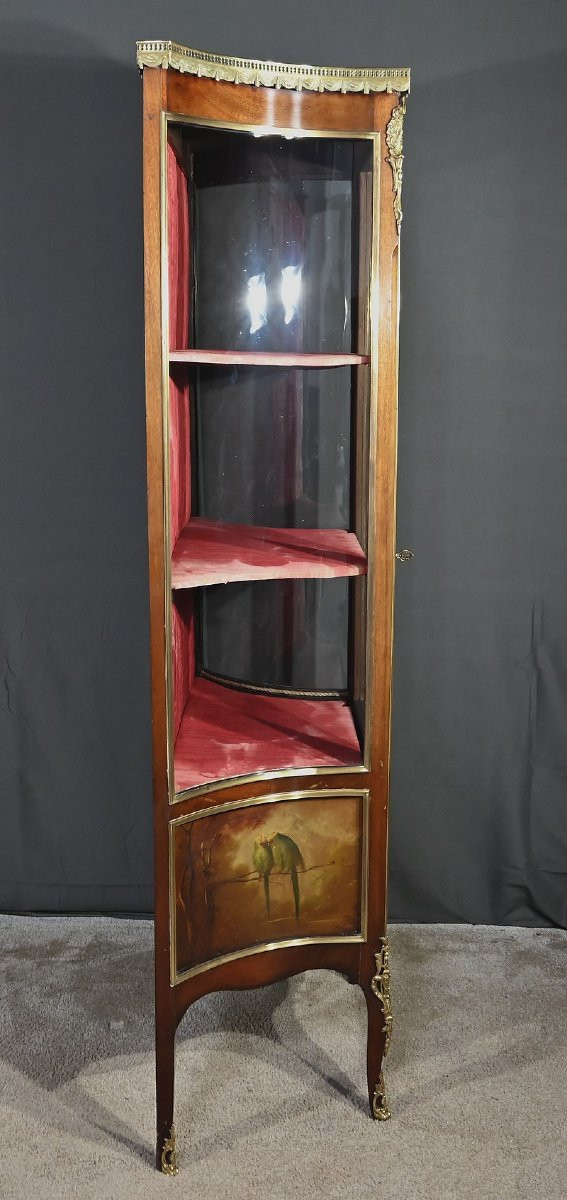 Mahogany Display Case, Louis XV / Louis XVI Transition Style – 1st Part Of The 20th Century-photo-7