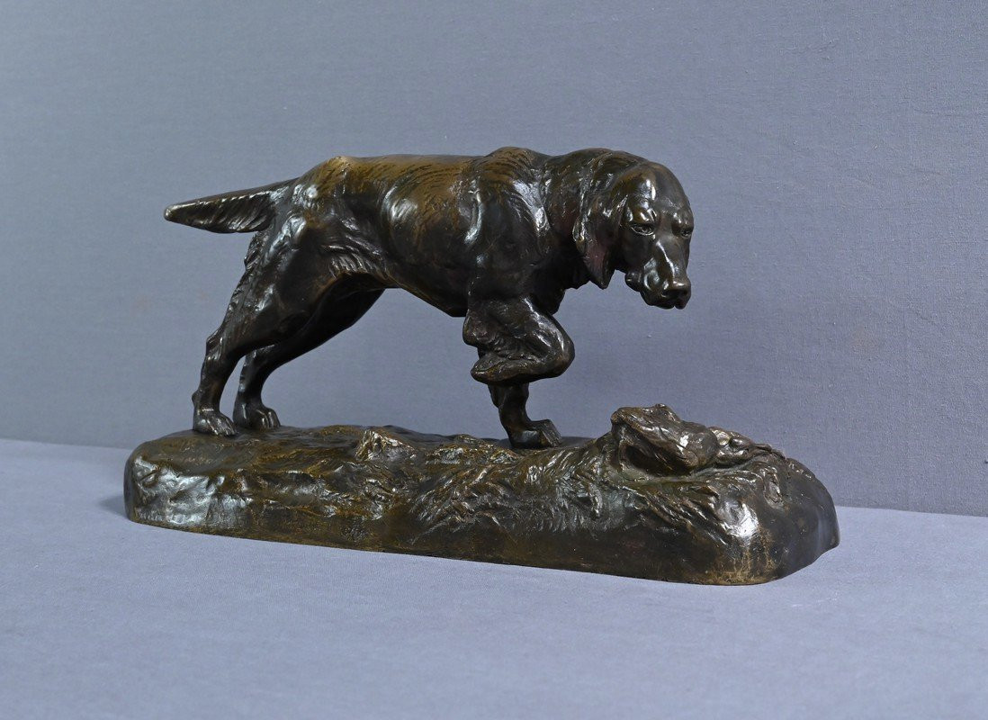 Bronze “hunting Dog” Signed E. Samson – Late 19th Century-photo-3