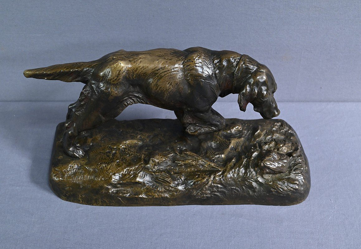 Bronze “hunting Dog” Signed E. Samson – Late 19th Century-photo-4