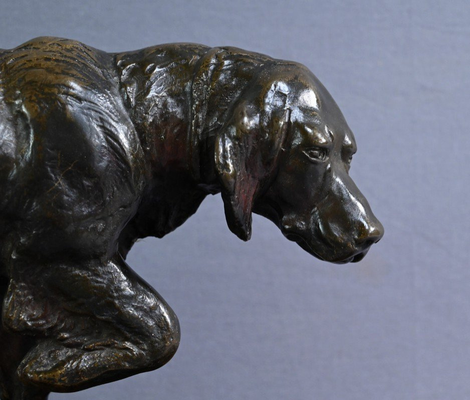 Bronze “hunting Dog” Signed E. Samson – Late 19th Century-photo-3
