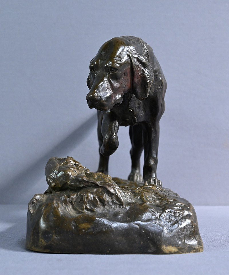 Bronze “hunting Dog” Signed E. Samson – Late 19th Century-photo-7