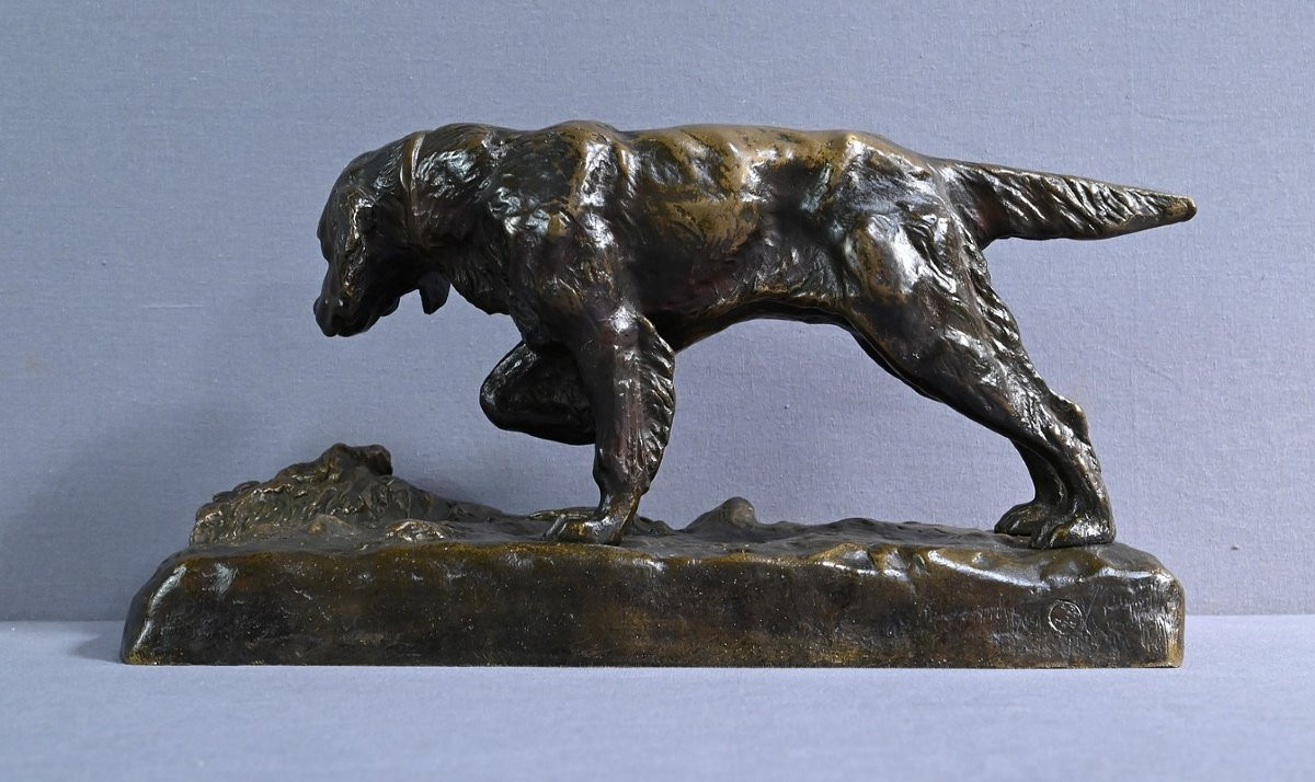 Bronze “hunting Dog” Signed E. Samson – Late 19th Century-photo-8