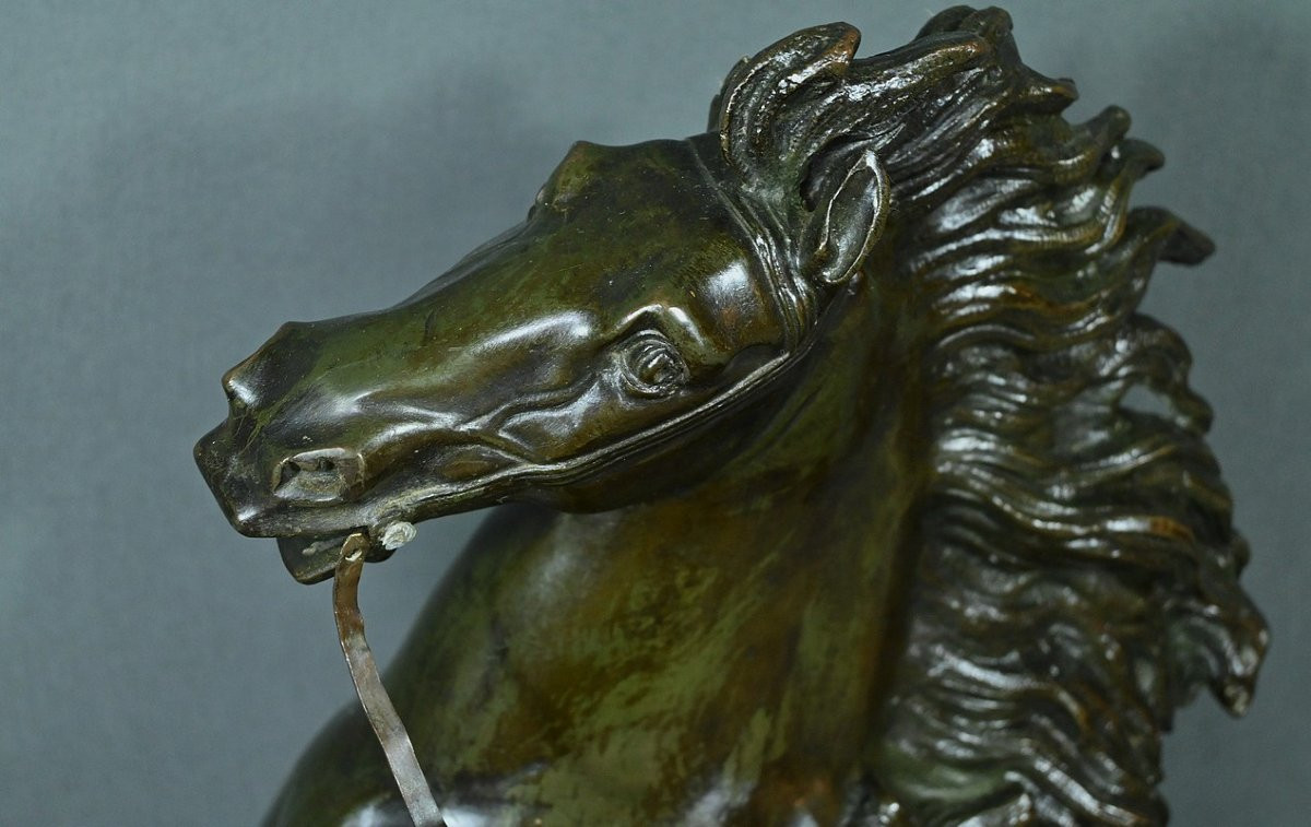 Large Bronze “the Horse Of Marly”, After Coustou – Early 20th Century-photo-5