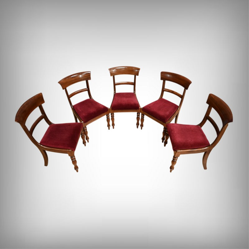 Suite de 5 Chaises en Acajou, époque Victorienne, Angleterre – 2ème partie XIXe