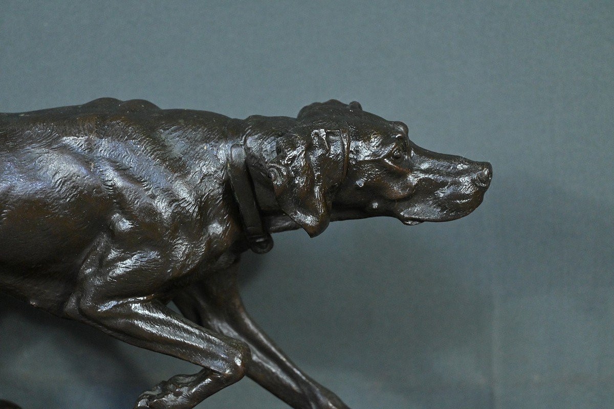 Bronze « Chien de Chasse », signé J. Moigniez – Fin XIXe-photo-2
