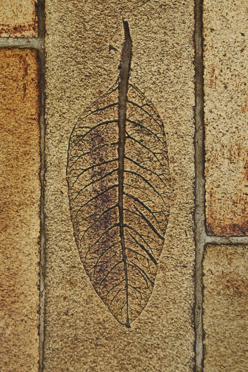 Coffee Table Signed R. Capron, Les Herbiers Collection, Vallauris – 1960-photo-3