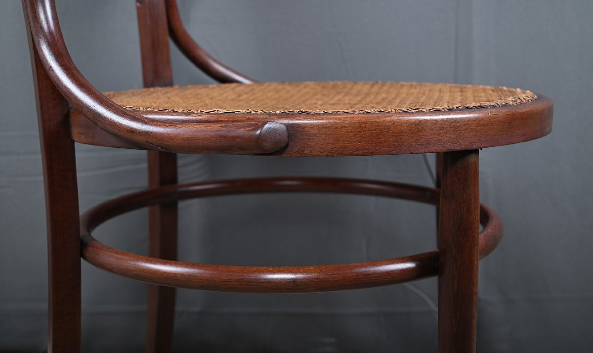 Fauteuil en Hêtre Courbé, Maison Baumann – Début XXe-photo-8