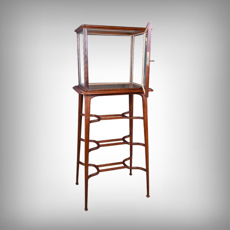 Mahogany Display Case, Art Nouveau – 1900-photo-2