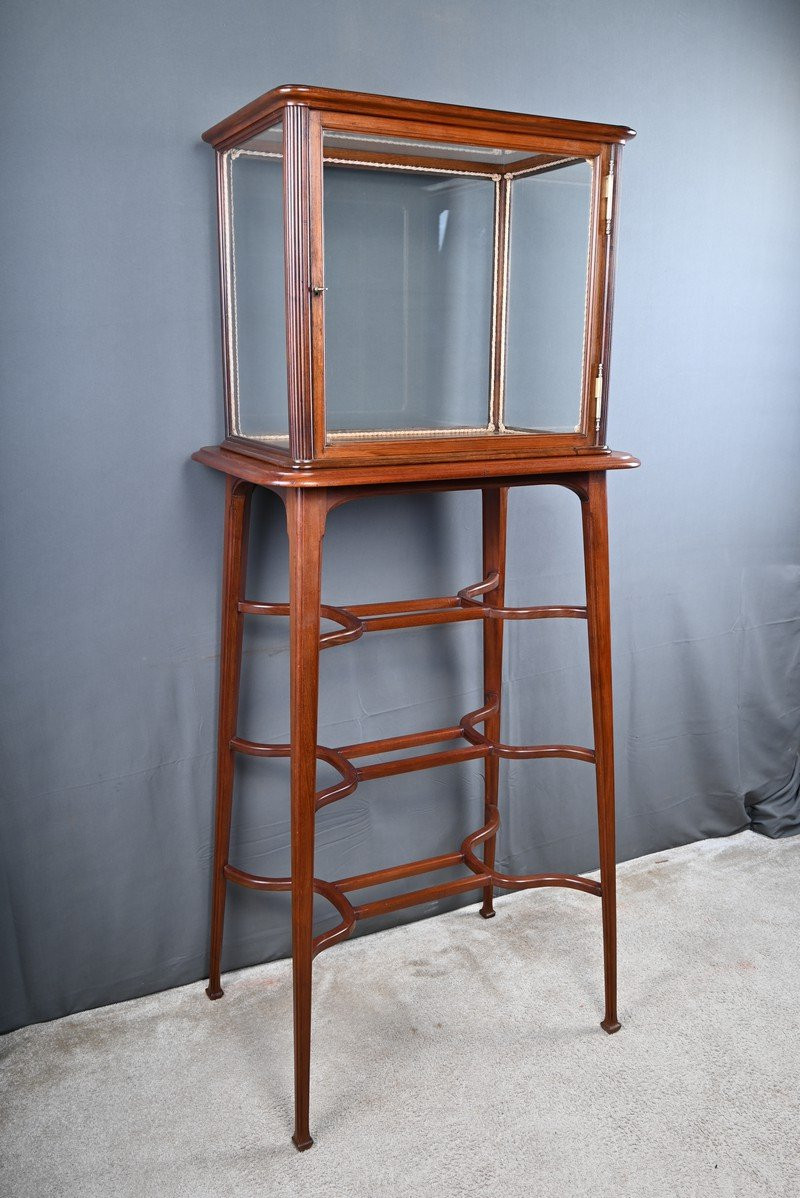 Mahogany Display Case, Art Nouveau – 1900-photo-3