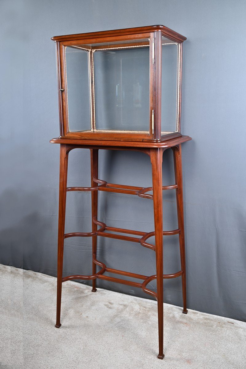Mahogany Display Case, Art Nouveau – 1900-photo-4