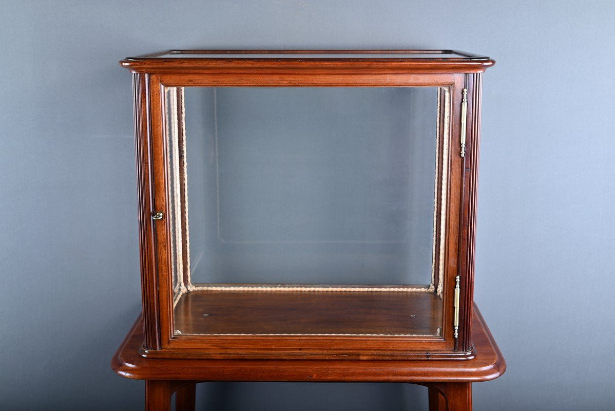 Mahogany Display Case, Art Nouveau – 1900-photo-1