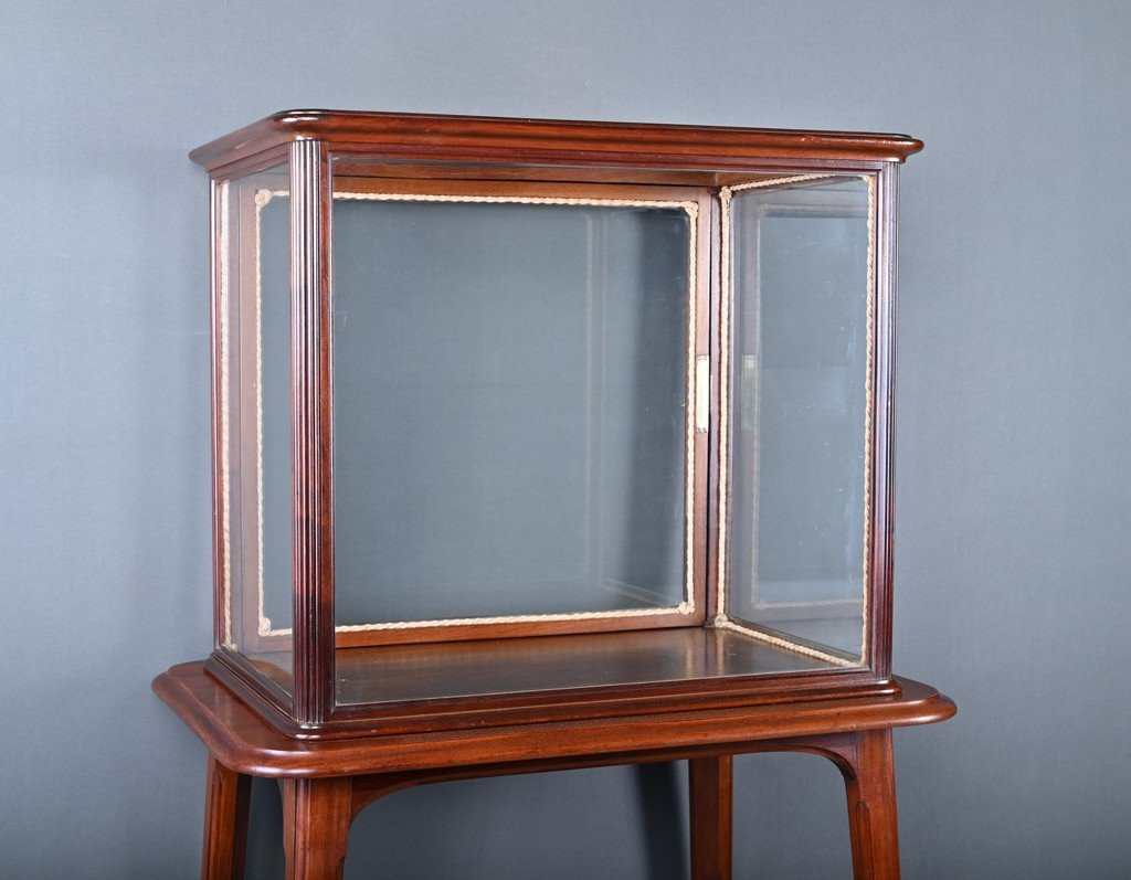 Mahogany Display Case, Art Nouveau – 1900-photo-2