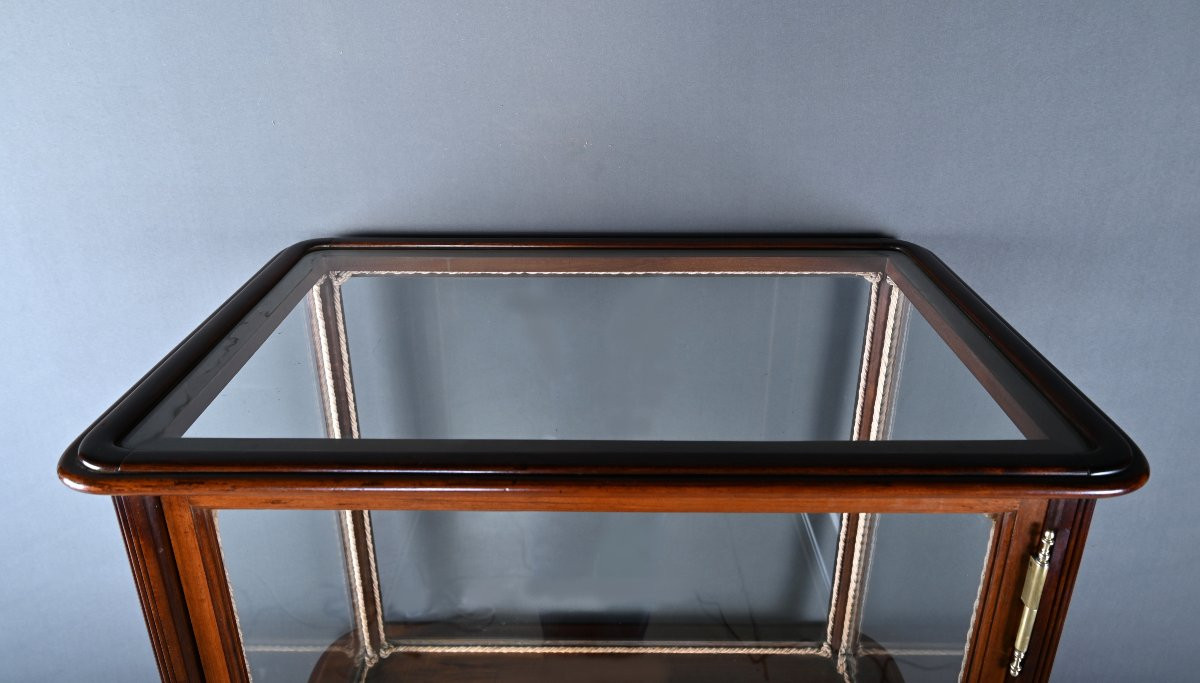 Mahogany Display Case, Art Nouveau – 1900-photo-3