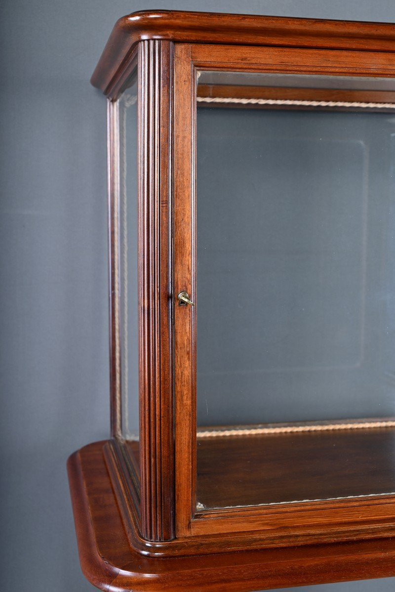 Mahogany Display Case, Art Nouveau – 1900-photo-4
