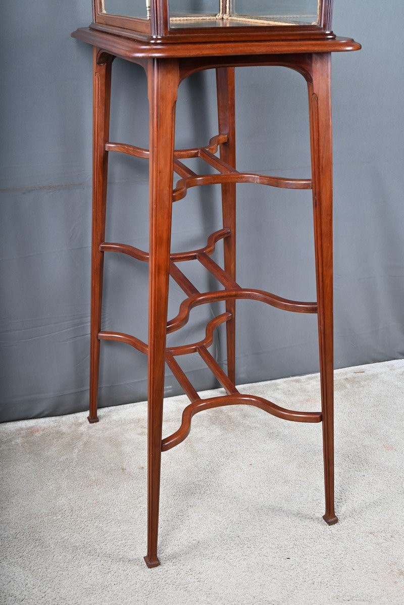 Mahogany Display Case, Art Nouveau – 1900-photo-8