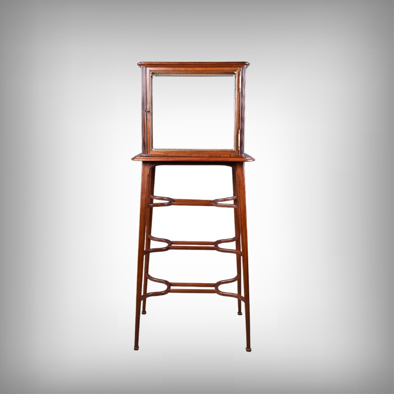 Mahogany Display Case, Art Nouveau – 1900