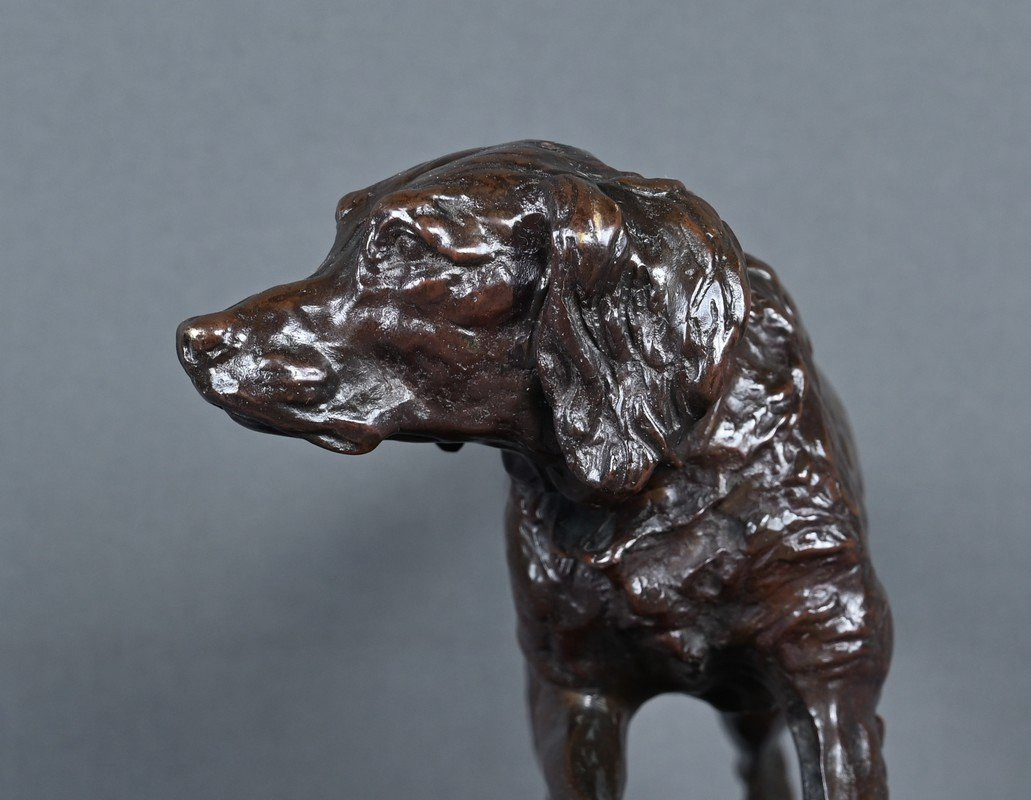 Bronze Sculpture "spaniel On Point", Signed Pj. Mêne – Mid-19th Century-photo-7