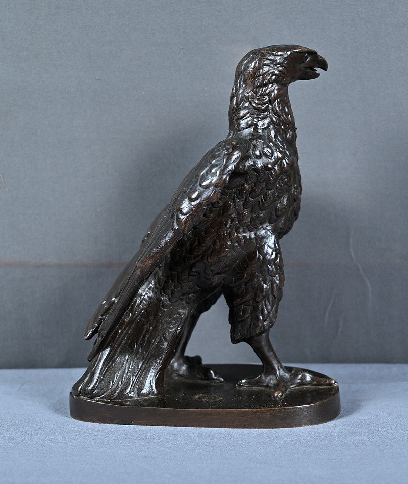 Bronze « L’Aigle aux Aguets », d’après T.Gechter – Fin XIXe-photo-6