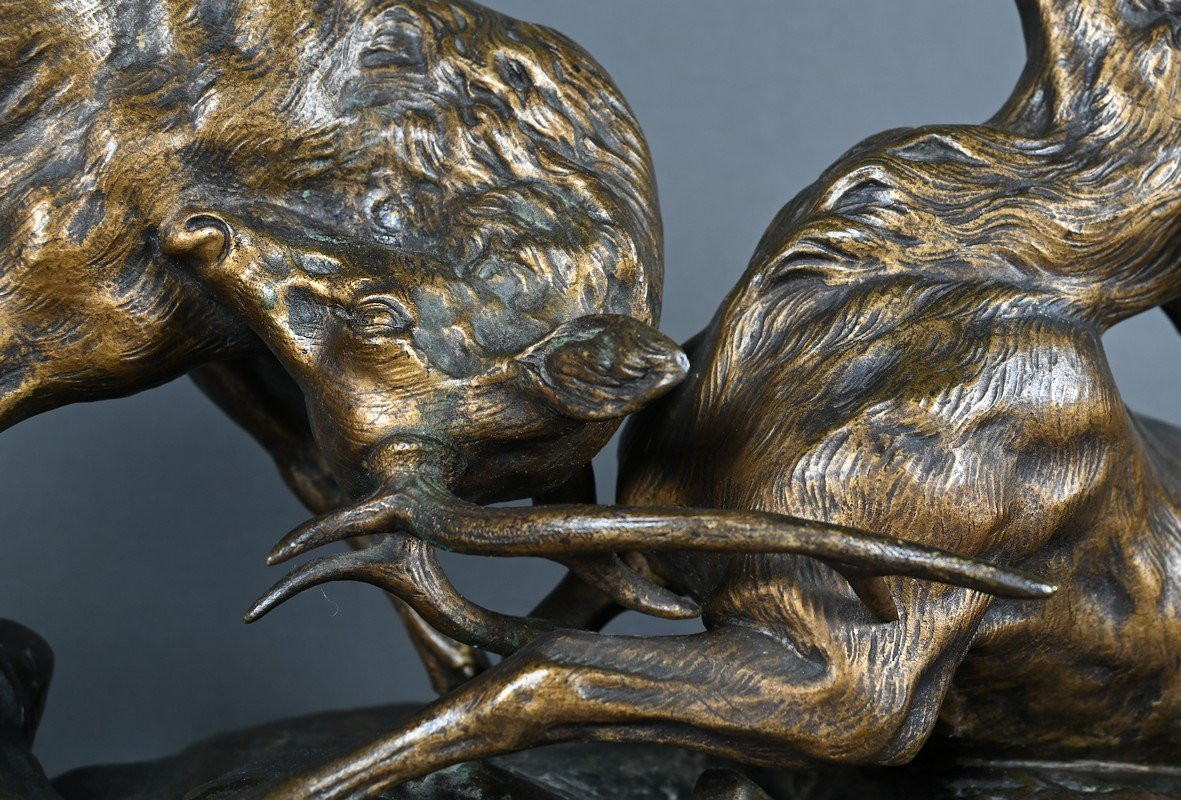 Important Bronze « Le Combat de Cerfs », de T.Cartier – Début XXe-photo-1