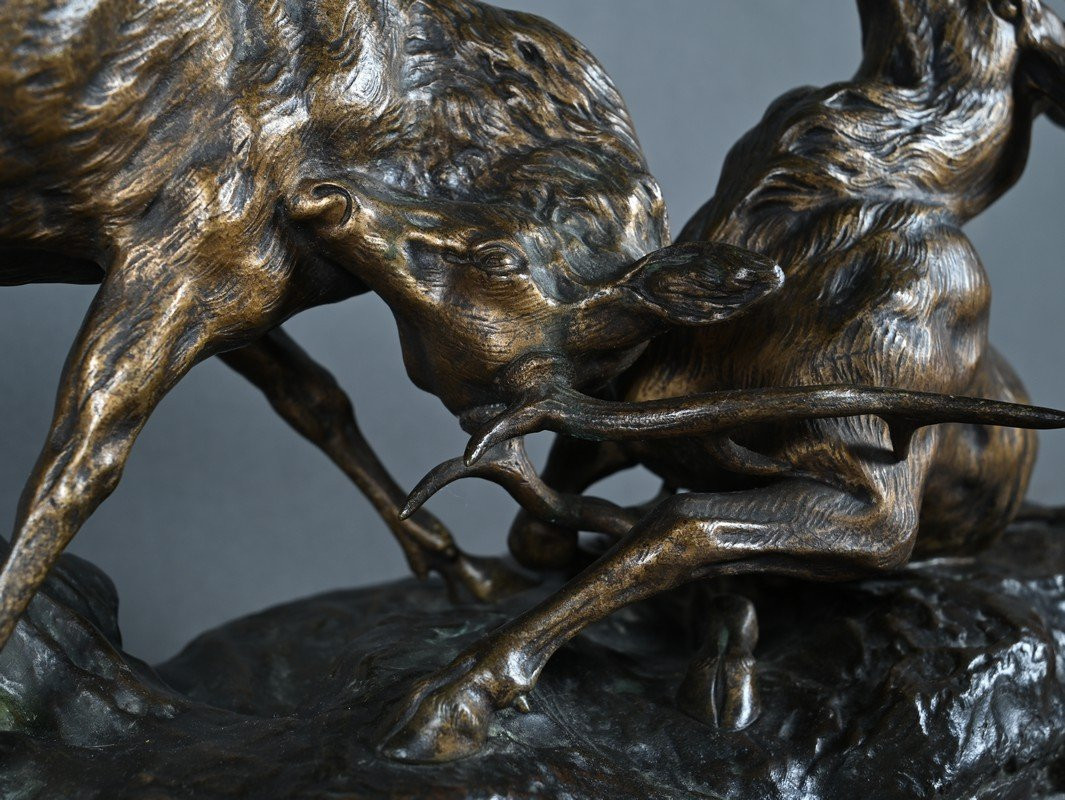 Important Bronze « Le Combat de Cerfs », de T.Cartier – Début XXe-photo-2
