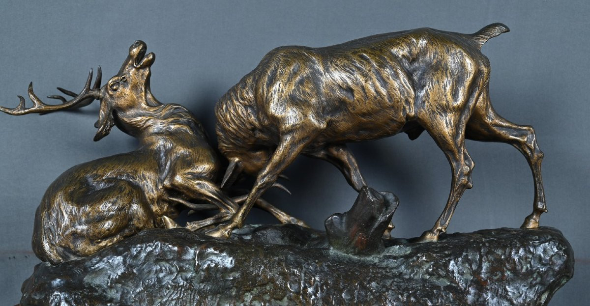 Important Bronze « Le Combat de Cerfs », de T.Cartier – Début XXe-photo-8