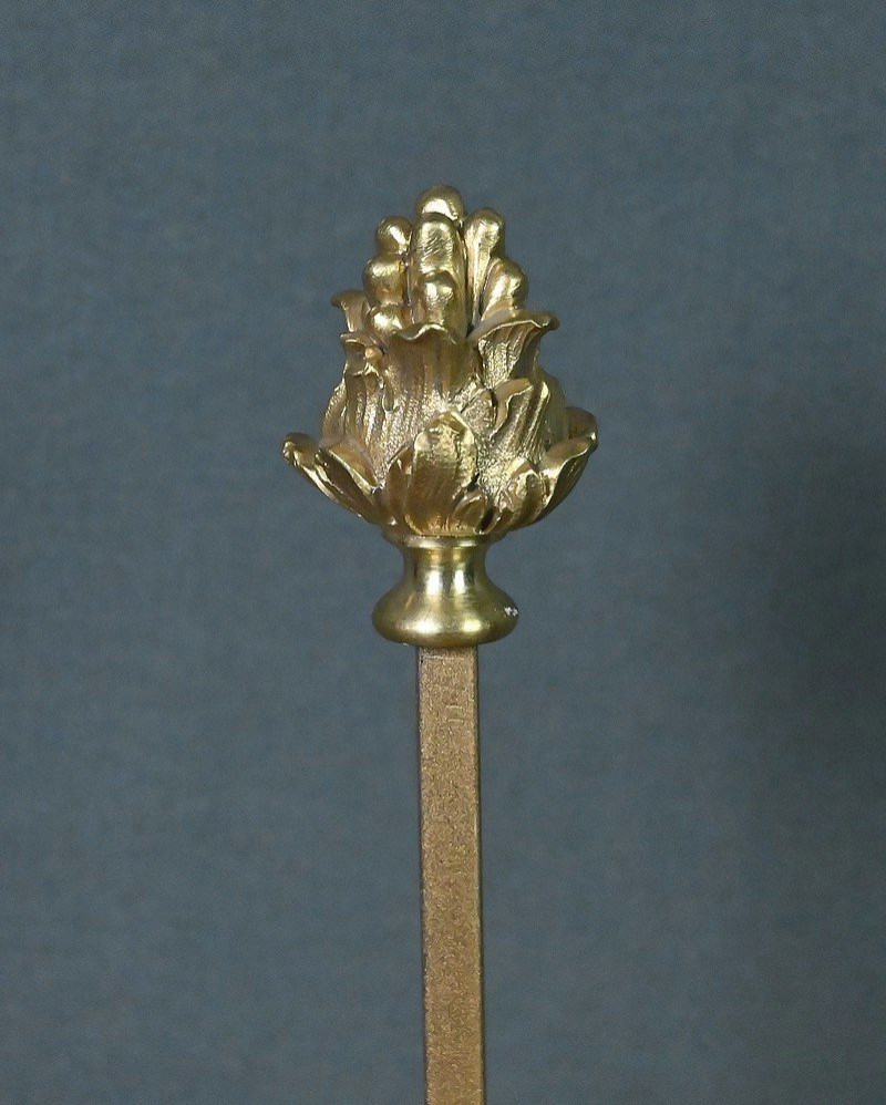 Chandelier à Écran en Bronze doré, style Louis XV – Milieu XIXe-photo-2