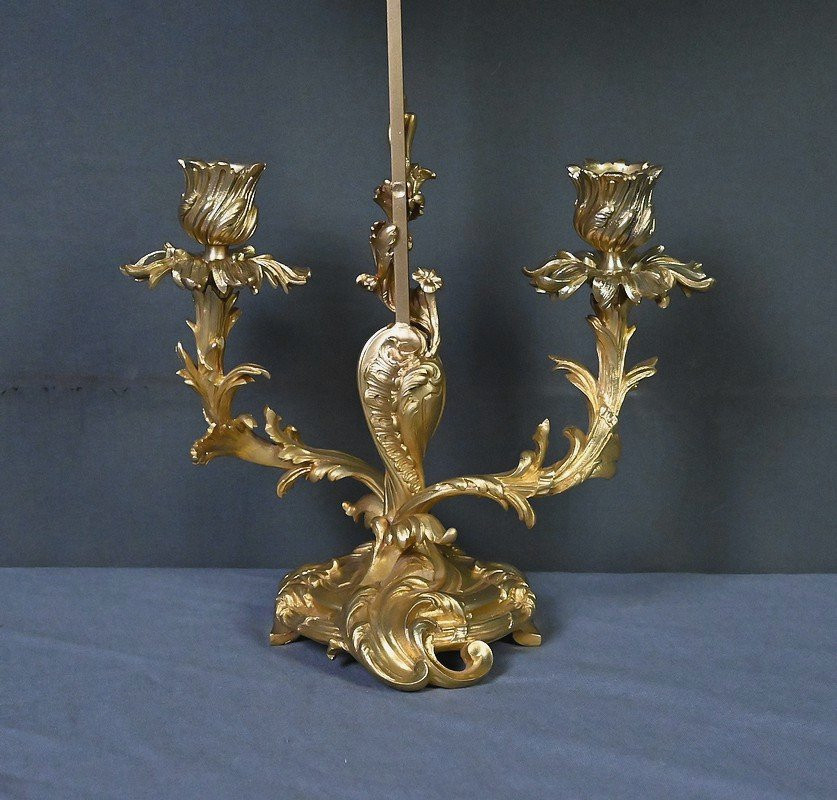 Chandelier à Écran en Bronze doré, style Louis XV – Milieu XIXe-photo-7