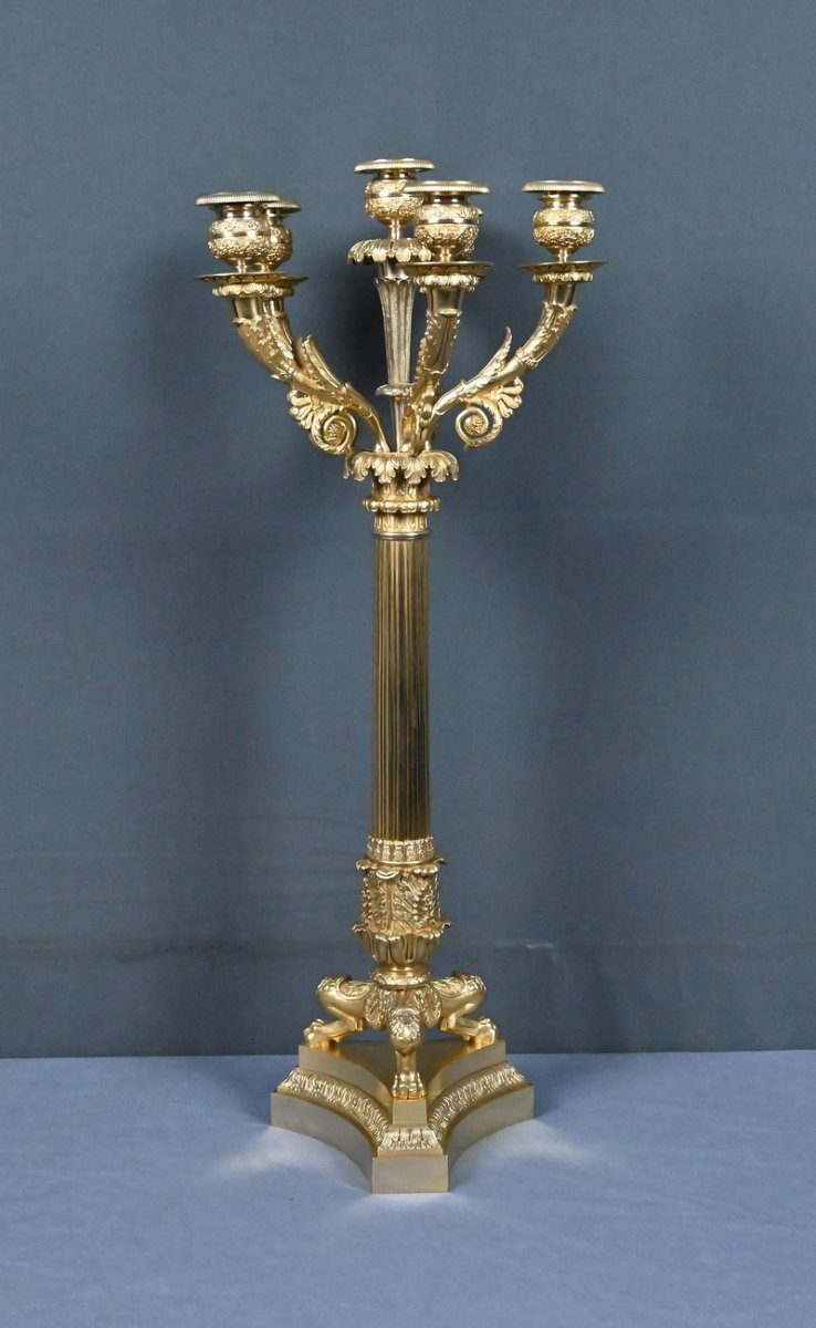 Gilt Bronze Candelabra, Restoration Period – Early 19th Century-photo-3